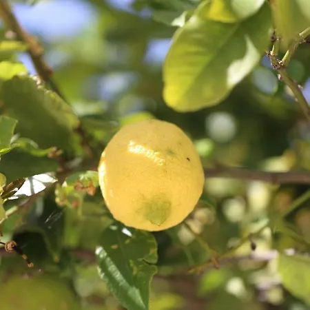 Capovillas - Panoramic Gisa With Private Pool And Sea View Villa Santa Maria (Vibo Valentia)
