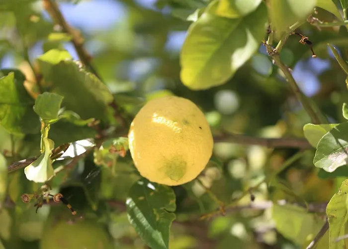 Capovillas - Panoramic Gisa With Private Pool And Sea View Villa Santa Maria (Vibo Valentia)